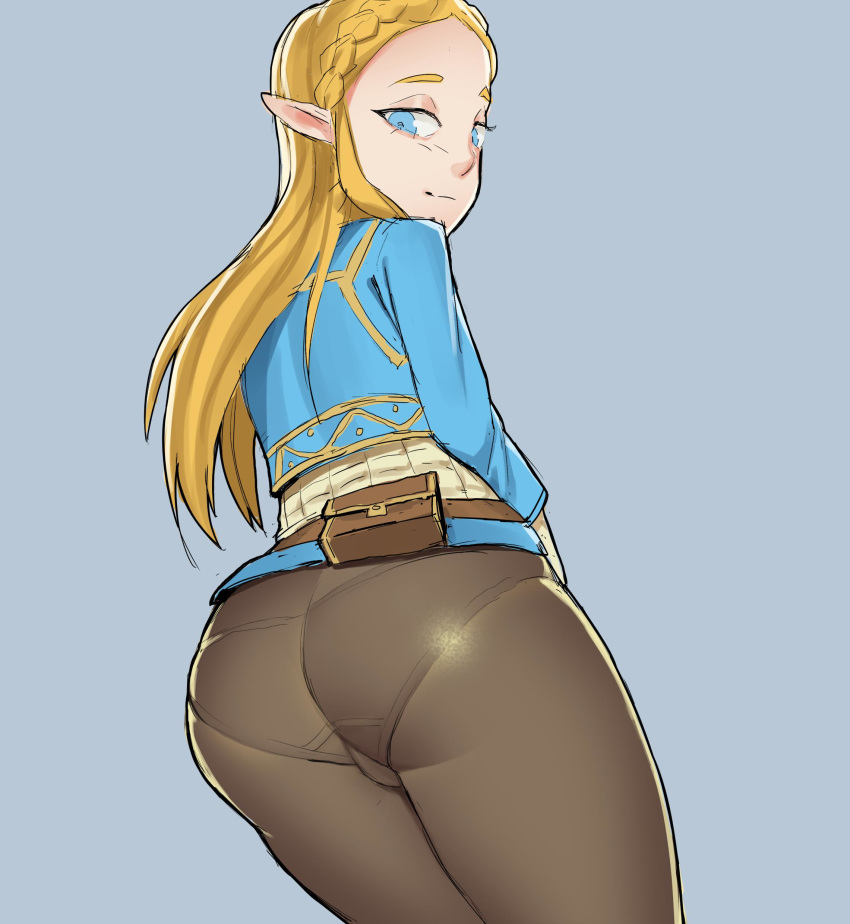 Princess Zelda (Breath Of The Wild) Rule 34 Image
