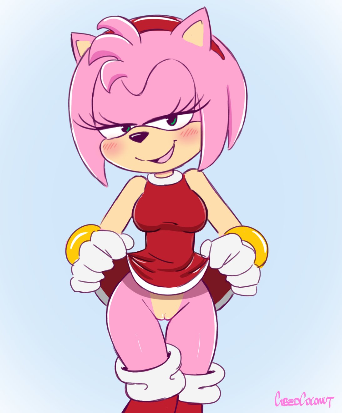 Sonic (Series) Rule 34 Image