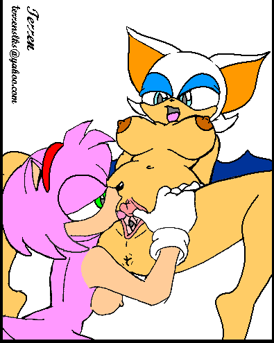 Amy Rose (Sonic (Series)) Rule 34 Image