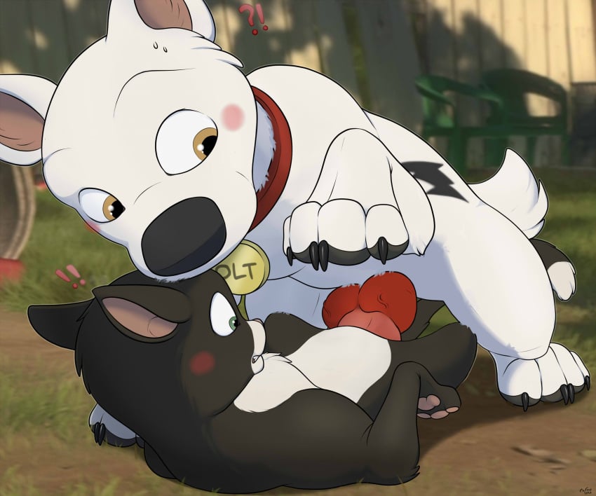 Bolt (Bolt) Rule 34 Image