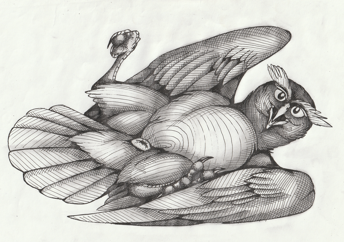 01phoenix01 Rule 34 Image