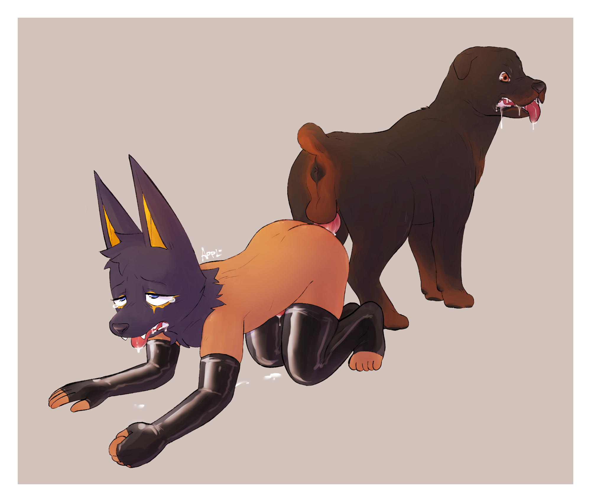 Anal Rule 34 Image