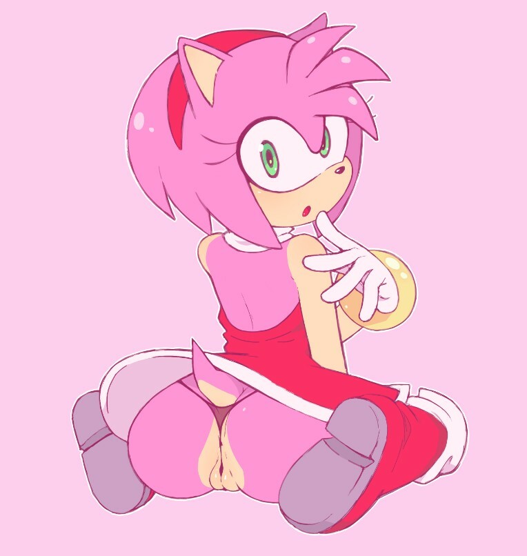 Amy Rose (Sega) Rule 34 Image