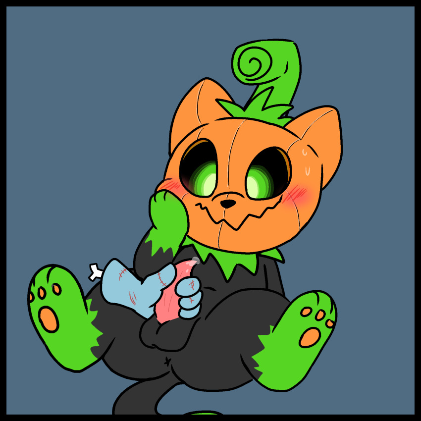 Pumkat (Halloween) Rule 34 Image
