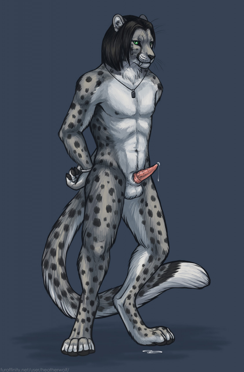 Abs Rule 34 Image