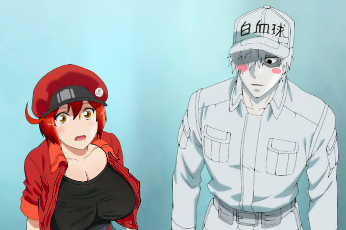 Red Blood Cell (Hataraku Saibou) Rule 34 Image