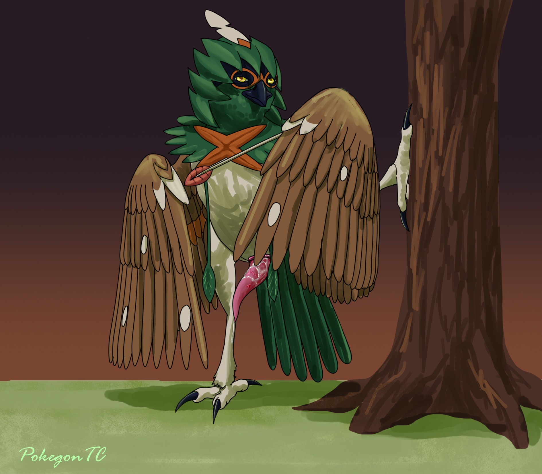 Decidueye (Nintendo) Rule 34 Image