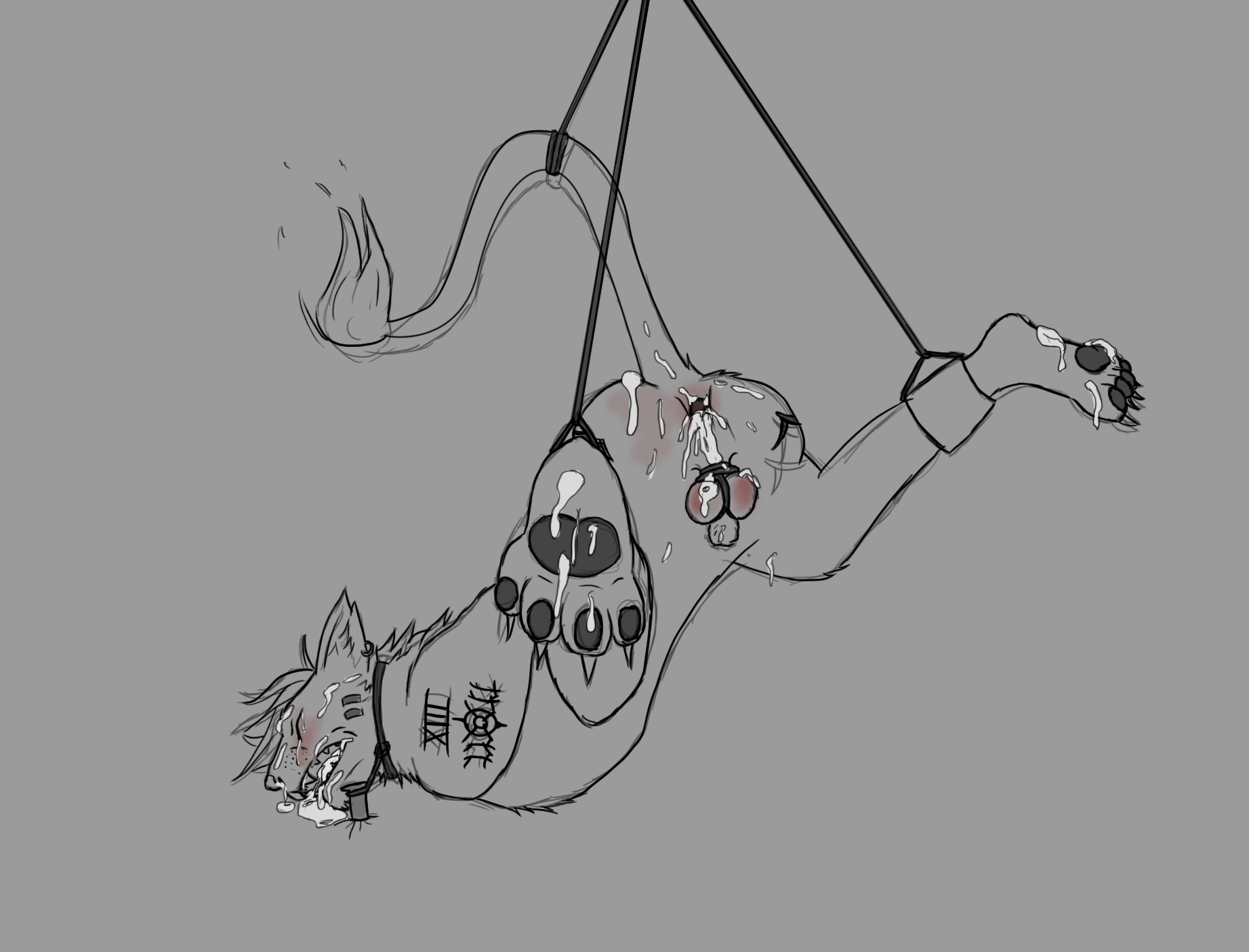 Red Xiii (Final Fantasy) Rule 34 Image