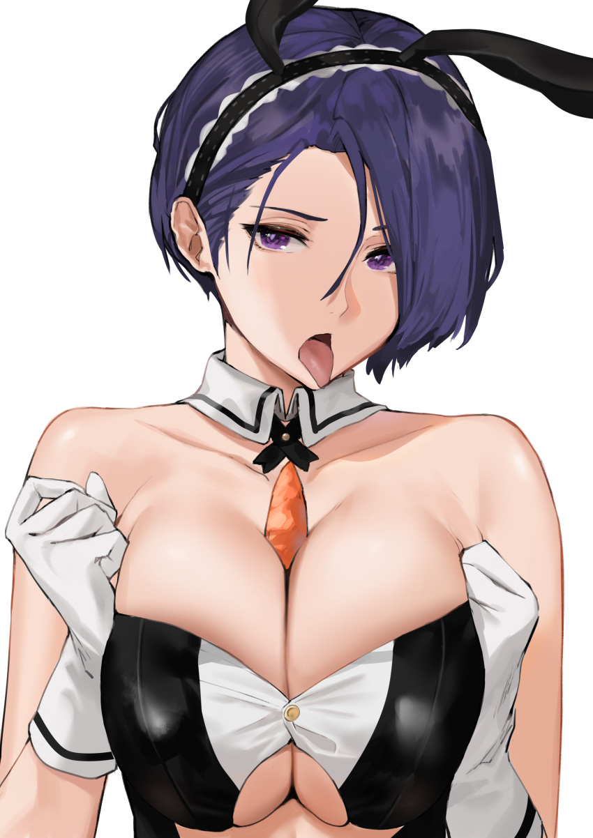 Shamir Nevrand (Fire Emblem) Rule 34 Image