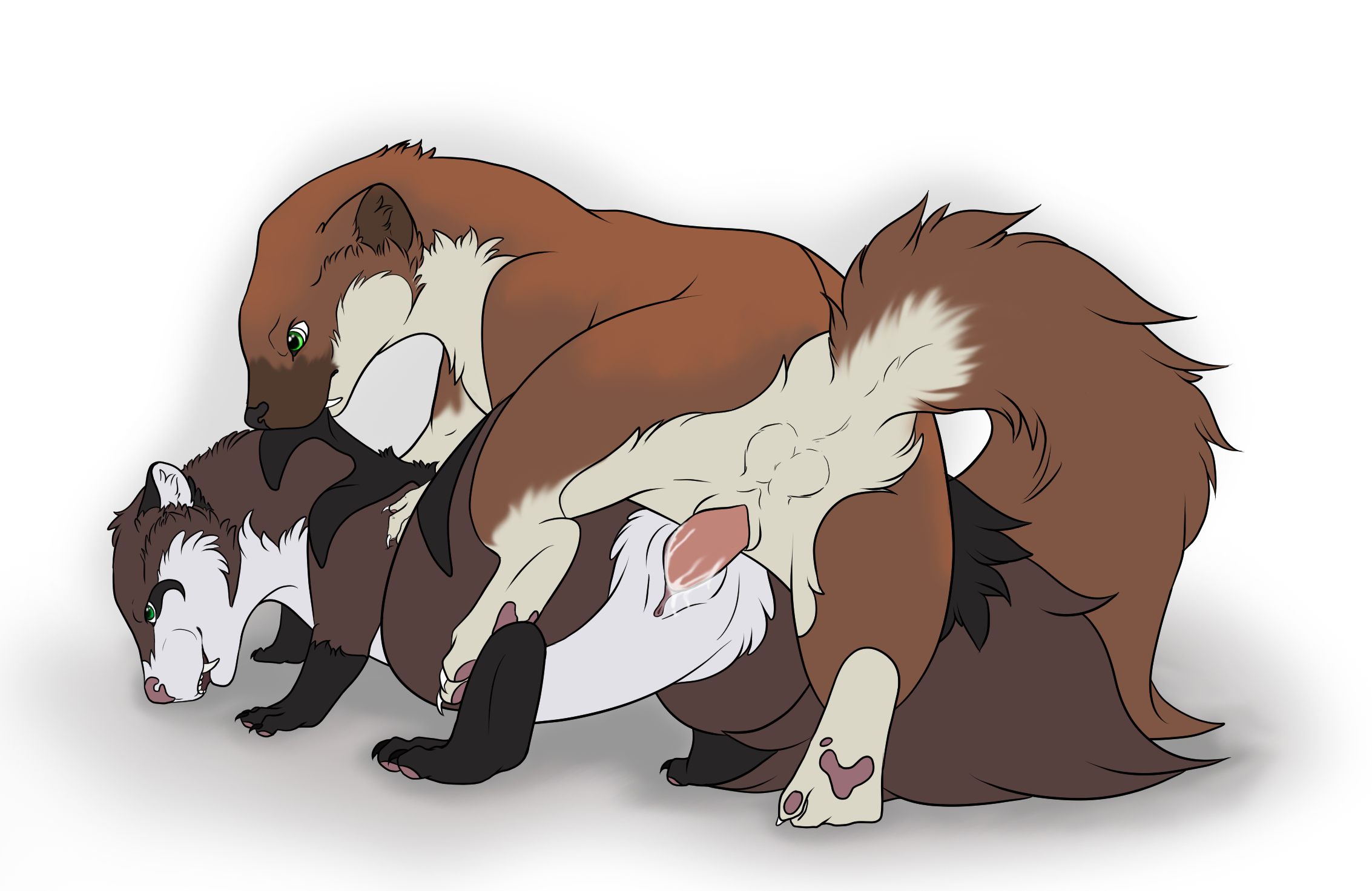 Animal Genitalia Rule 34 Image