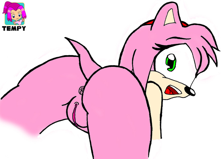 Amy Rose (Sonic (Series)) Rule 34 Image