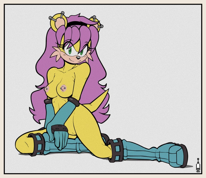 Sonic (Series) Rule 34 Image