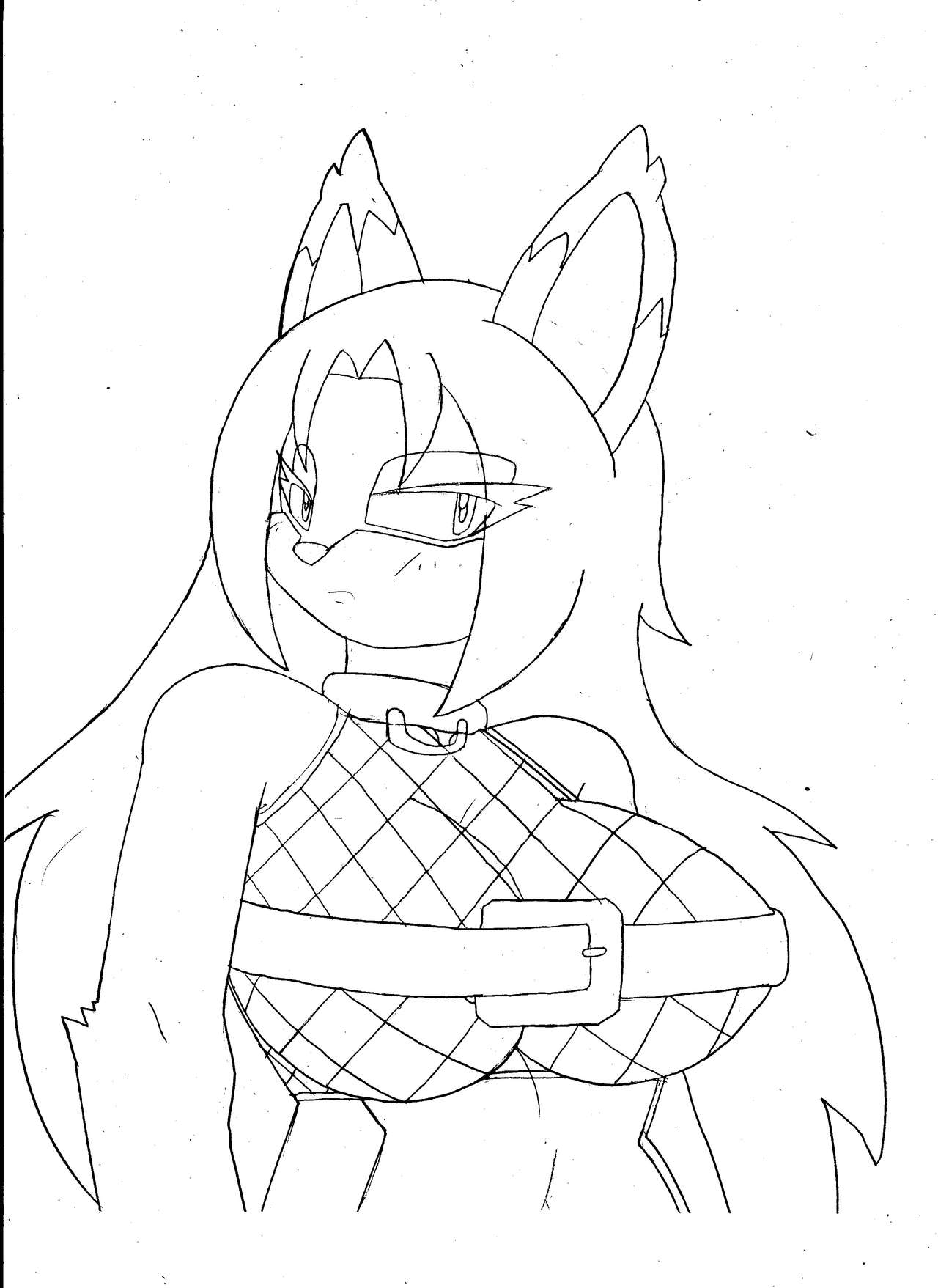 Fan Character (Sonic (Series)) Rule 34 Image
