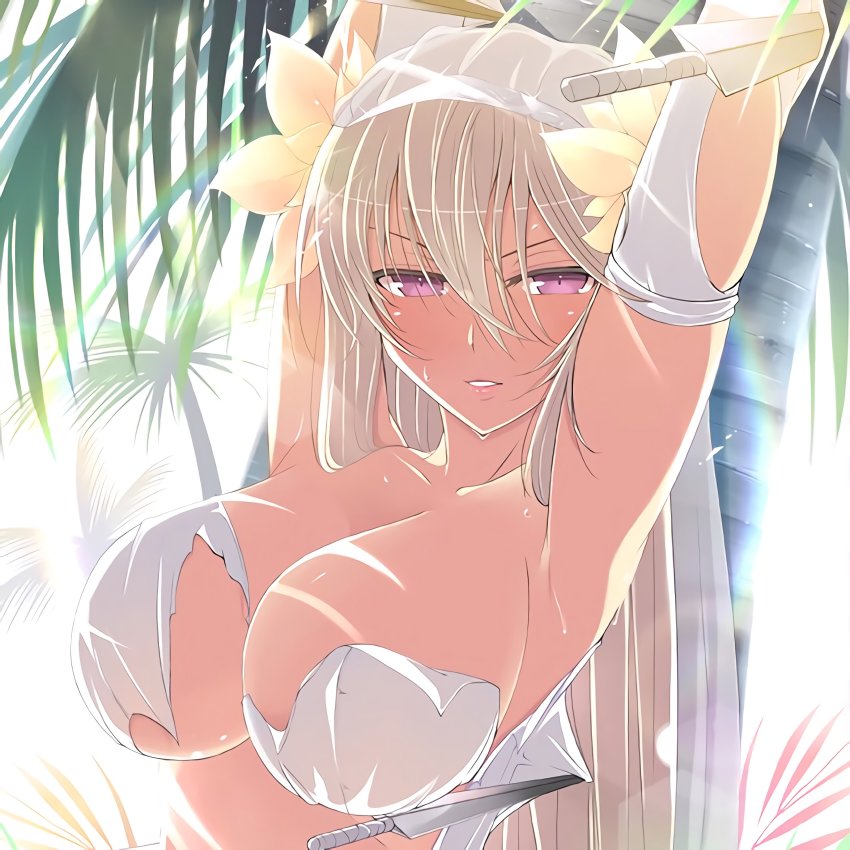 Leo (Senran Kagura) Rule 34 Image
