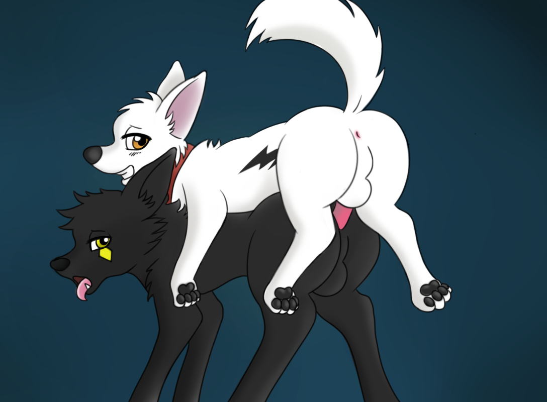 Bolt (Bolt) Rule 34 Image