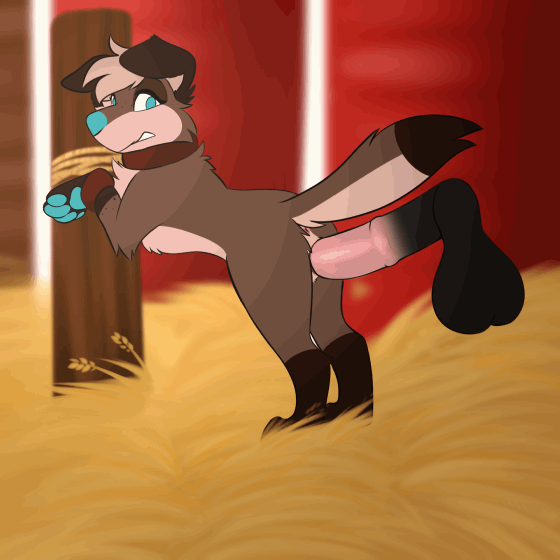 Pax (Nauticalcanine) Rule 34 Image