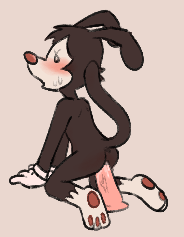 Yakko Warner (Animaniacs) Rule 34 Image
