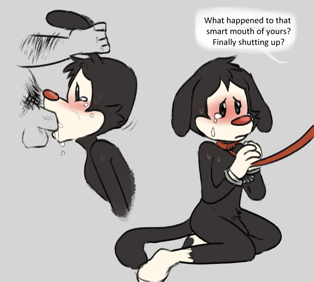 Yakko Warner (Animaniacs) Rule 34 Image