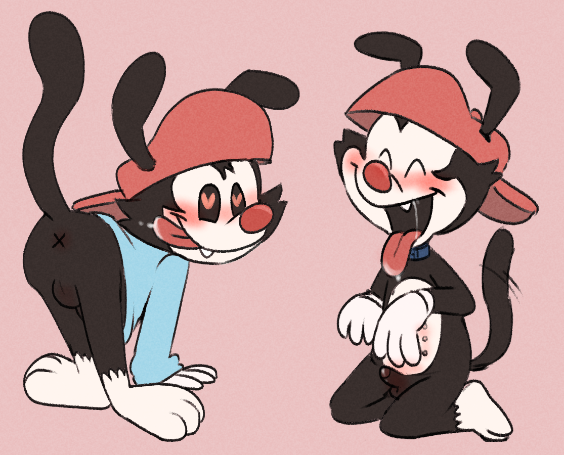 Wakko Warner (Animaniacs) Rule 34 Image