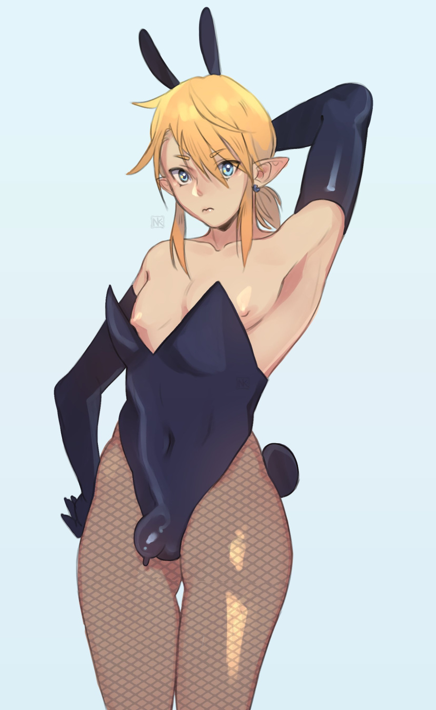 Link (Breath Of The Wild) Rule 34 Image