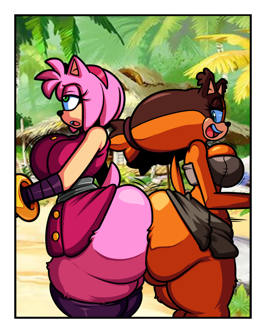 Amy Rose (Boom) Rule 34 Image