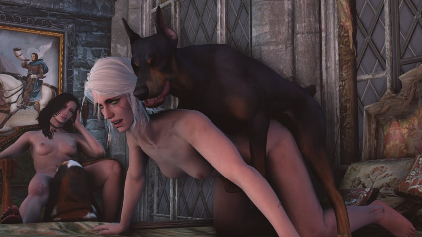 Ciri (Cd Projekt Red) Rule 34 Image