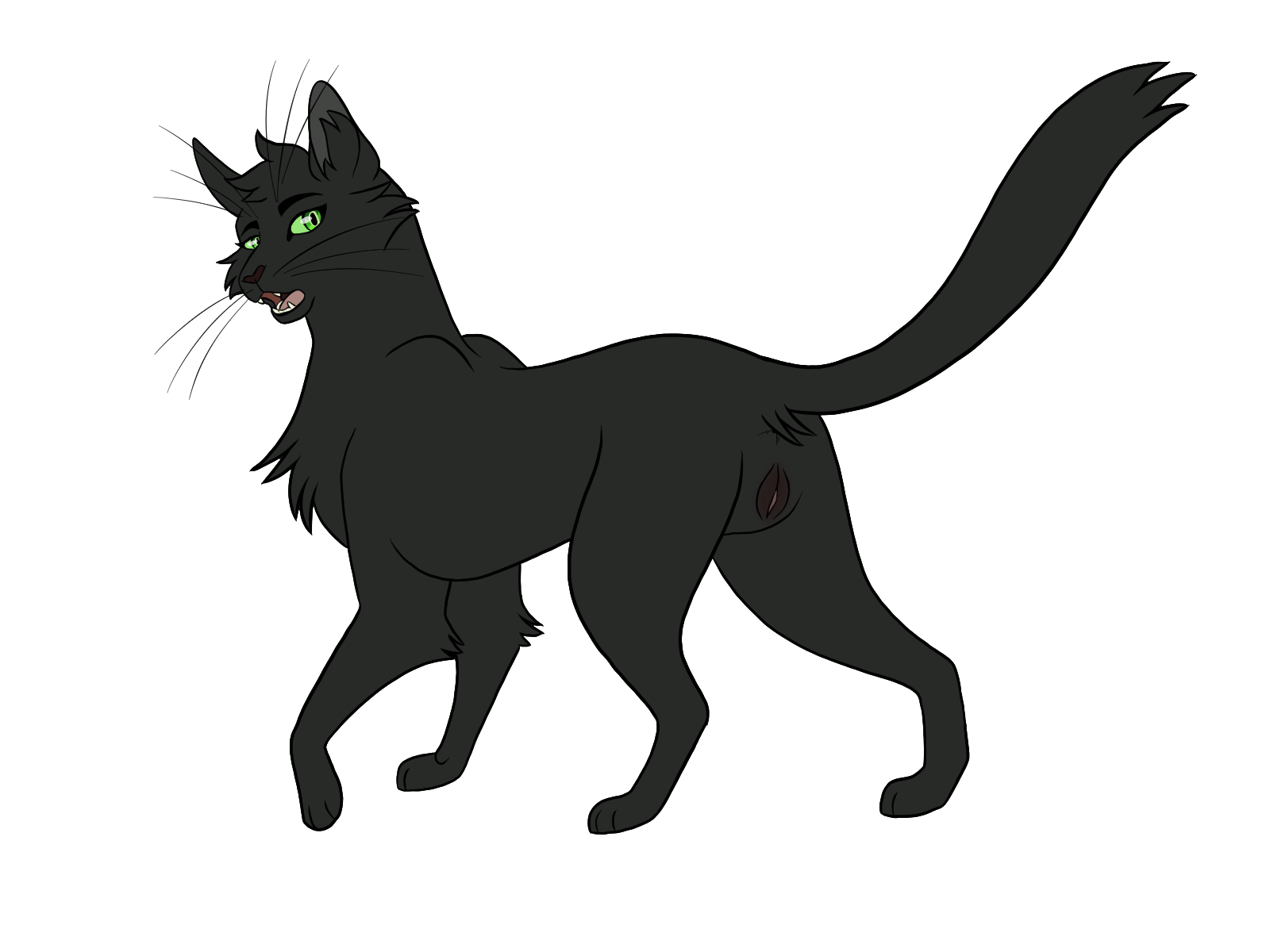 Hollyleaf (Warriors) Rule 34 Image