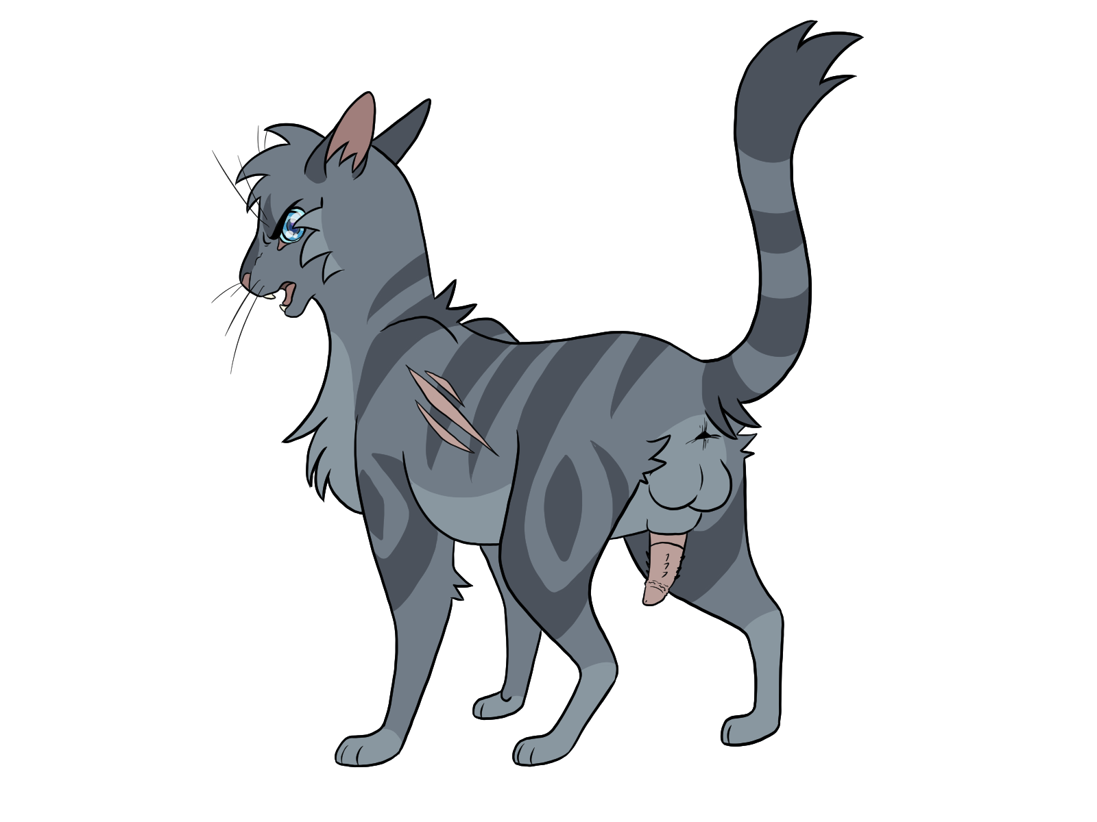 Jayfeather (Warriors) Rule 34 Image