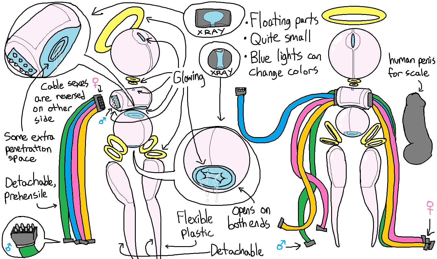 Ambiguous Gender Rule 34 Image