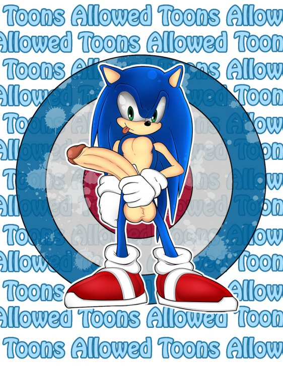 Sonic The Hedgehog (Sonic (Series)) Rule 34 Image