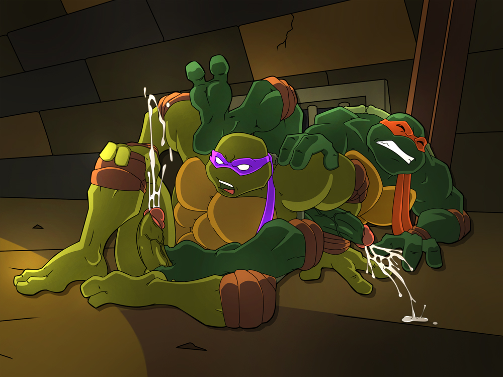 Donatello (Teenage Mutant Ninja Turtles) Rule 34 Image