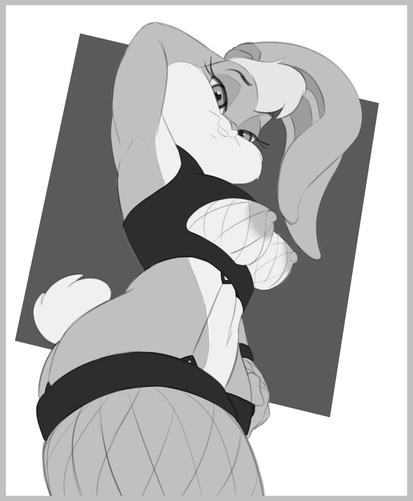 Lola Bunny (Looney Tunes) Rule 34 Image