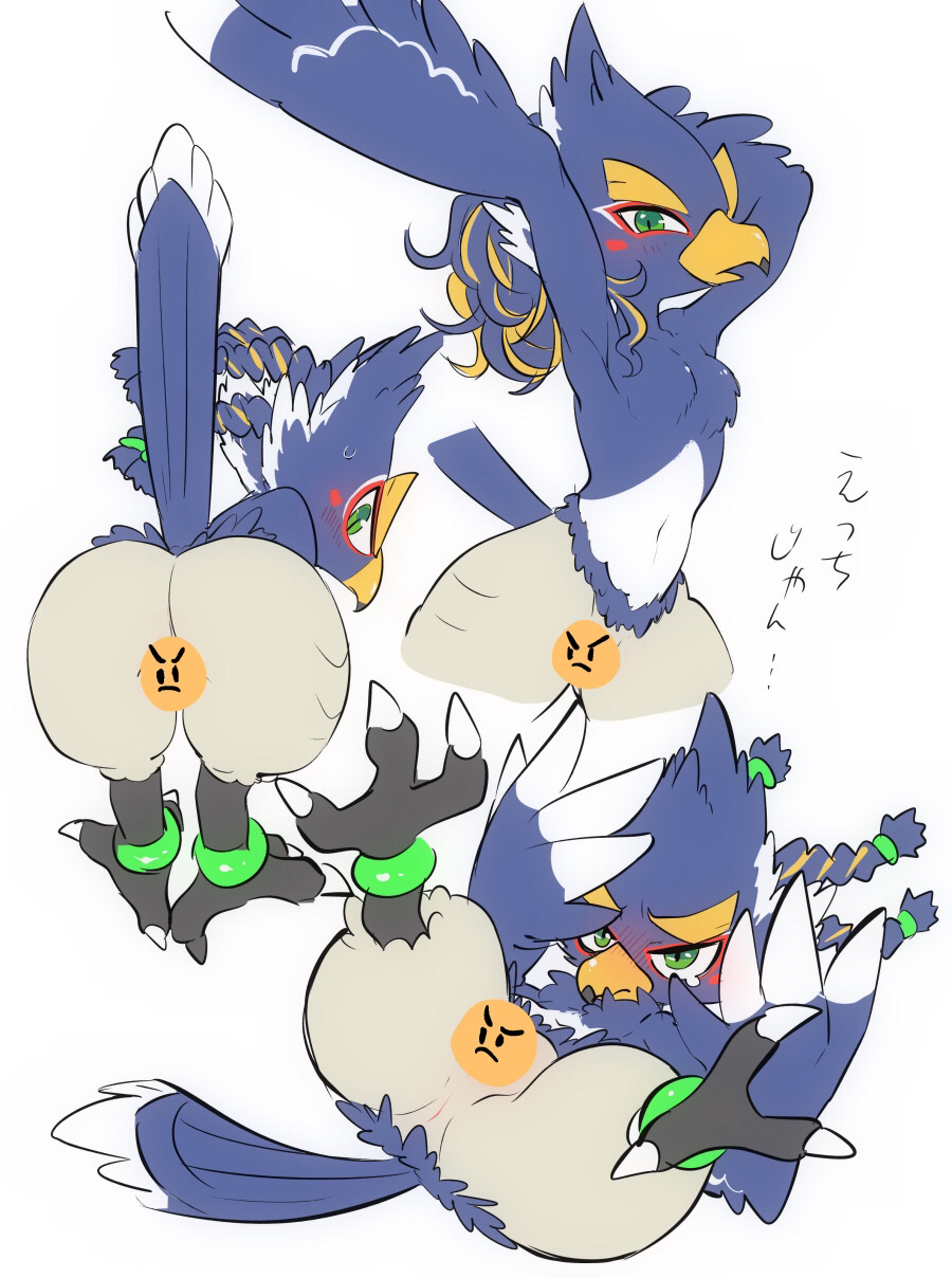 Revali (Breath Of The Wild) Rule 34 Image