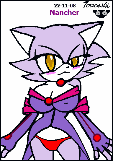 Blaze The Cat (Sega) Rule 34 Image