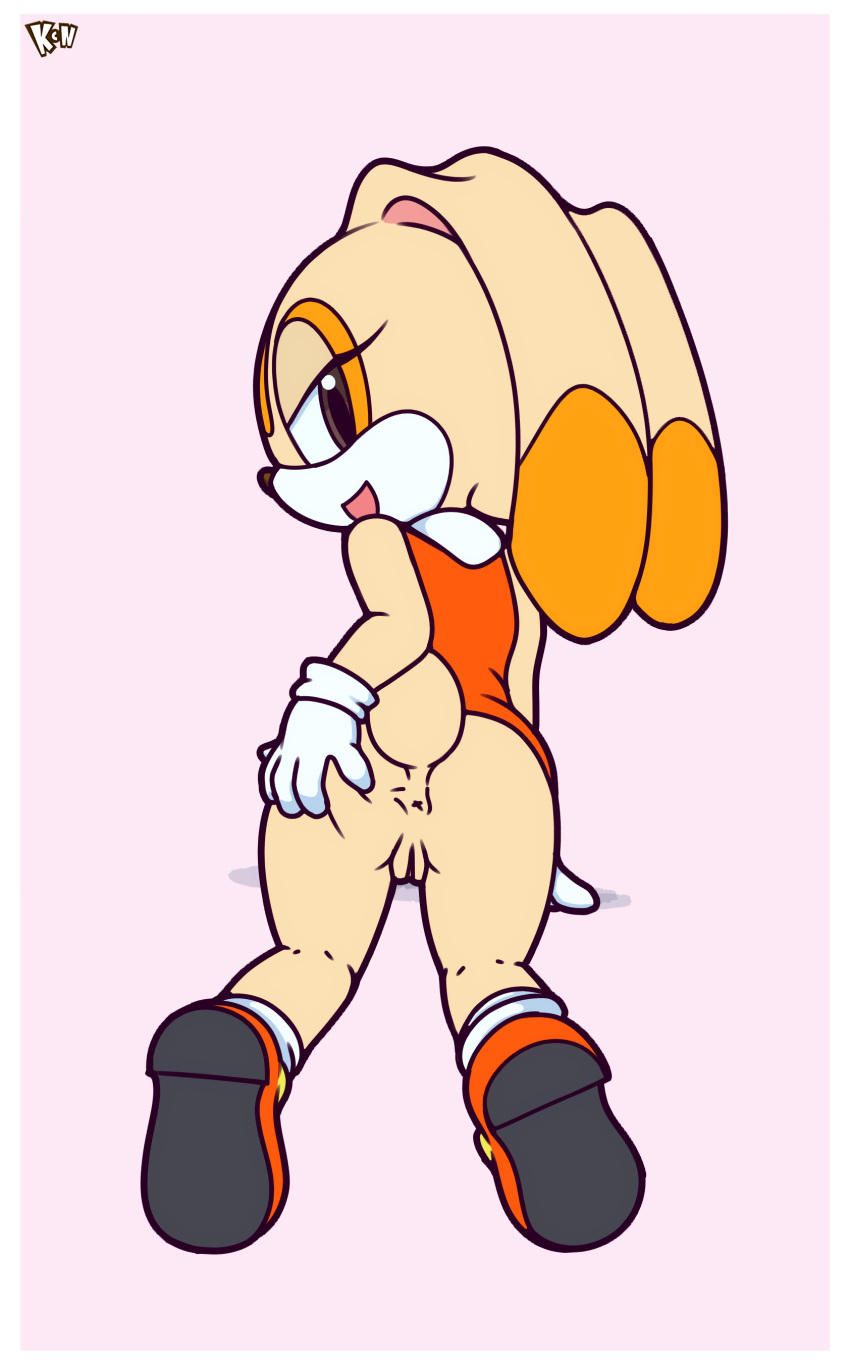 Sonic (Series) Rule 34 Image