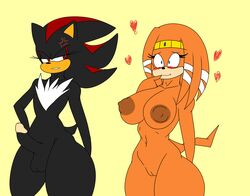 Sonic (Series) Rule 34 Image