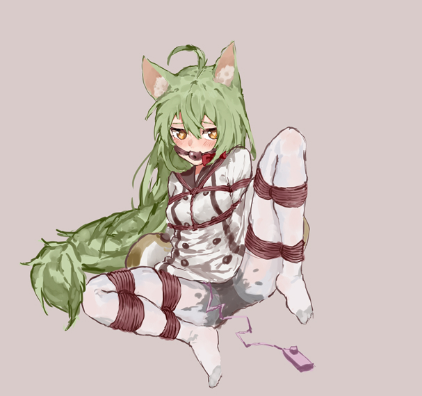 Akashi (Azur Lane) Rule 34 Image