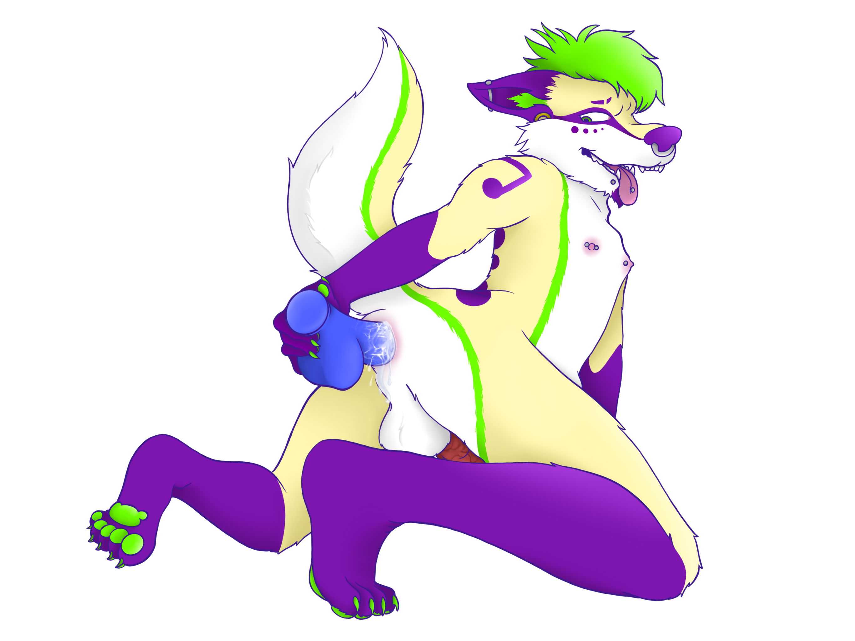 Vivaci Rule 34 Image