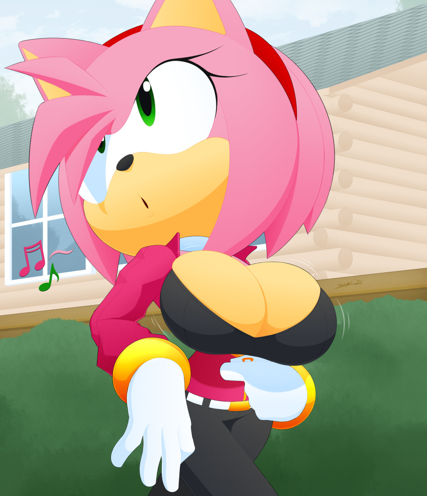 Amy Rose (Sonic (Series)) Rule 34 Image