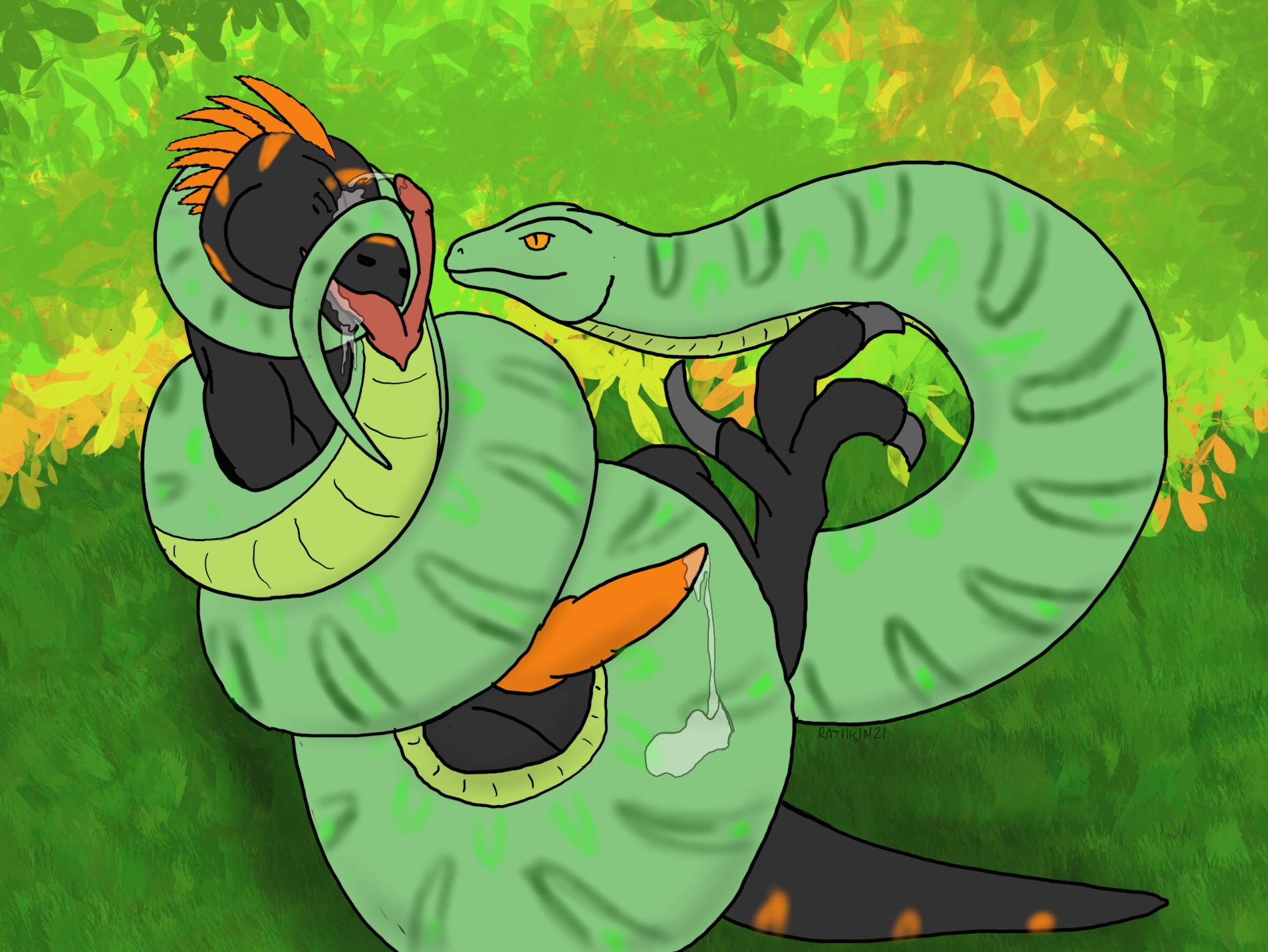 Animal Genitalia Rule 34 Image