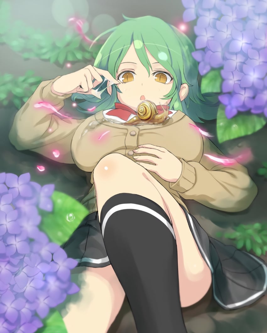 Hikage (Senran Kagura) Rule 34 Image