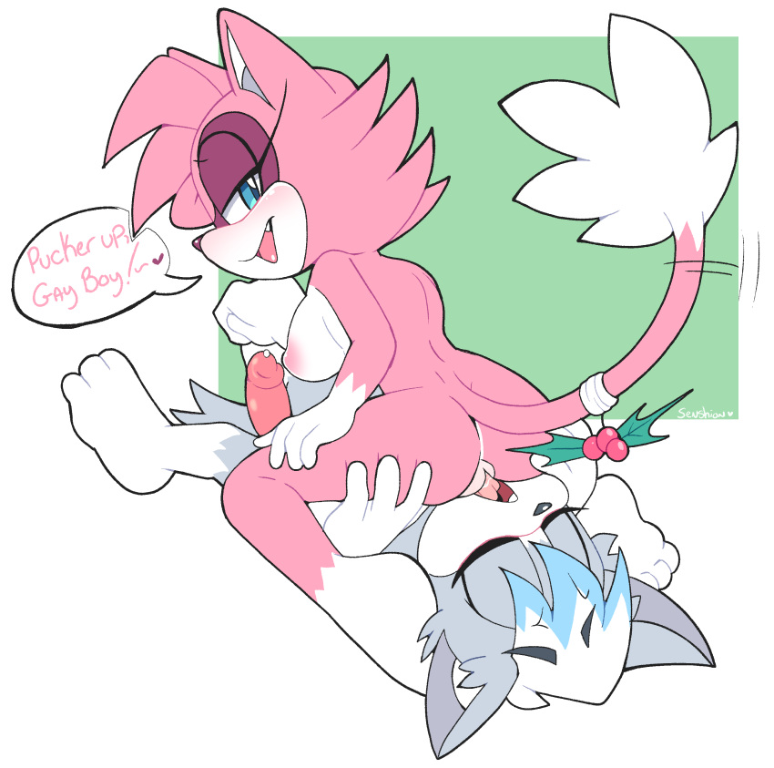 Sonic (Series) Rule 34 Image
