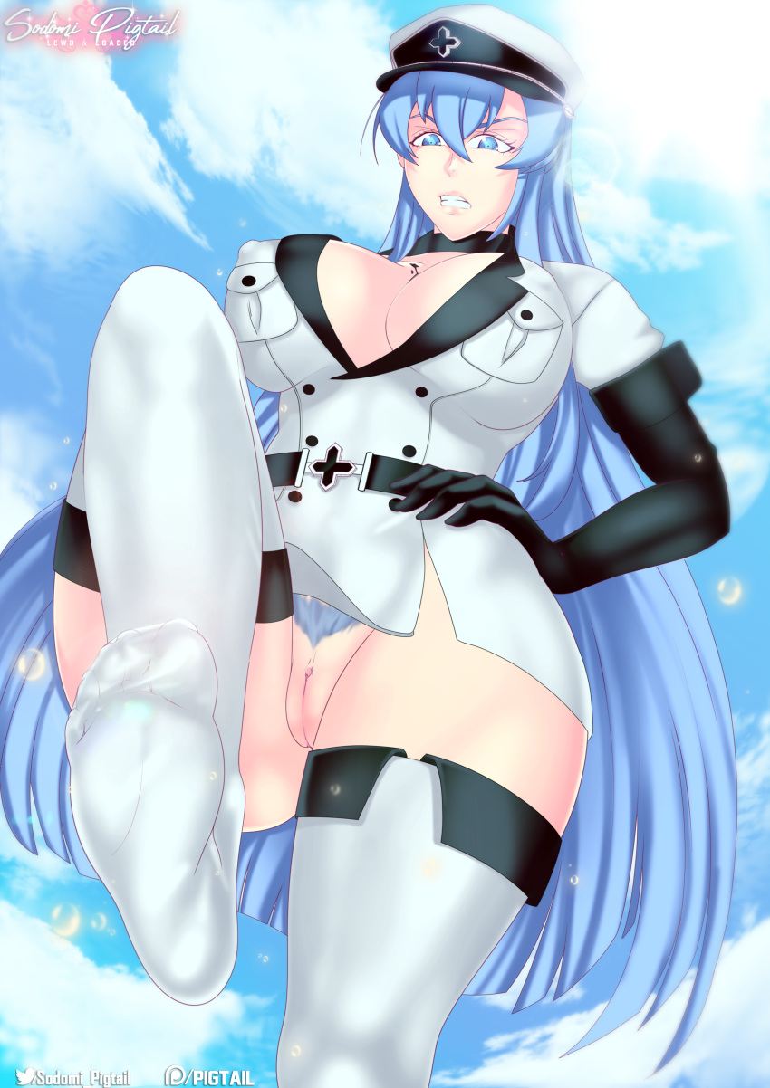 Esdeath (Akame Ga Kill!) Rule 34 Image
