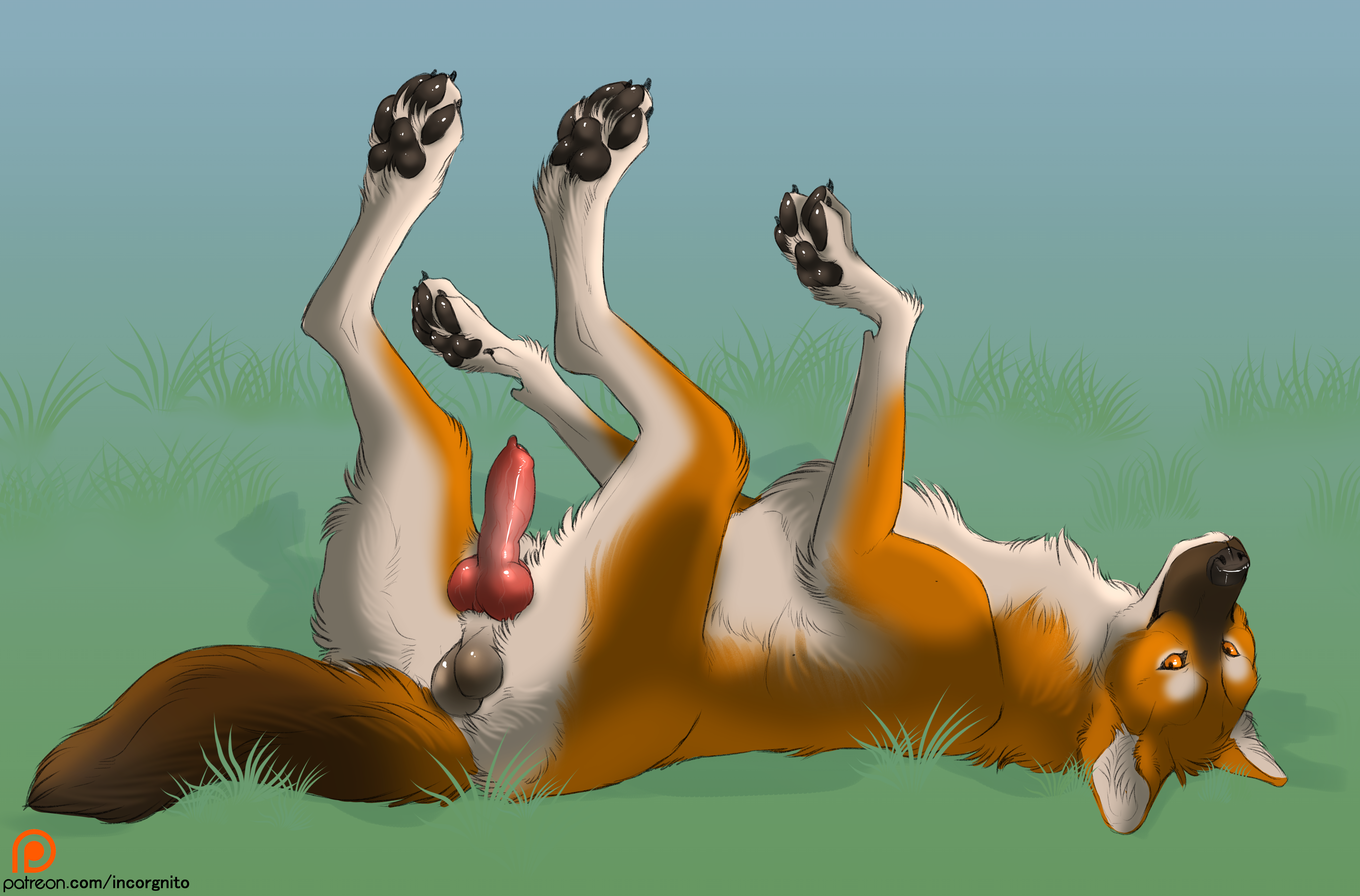 Noxy (Dhole) Rule 34 Image