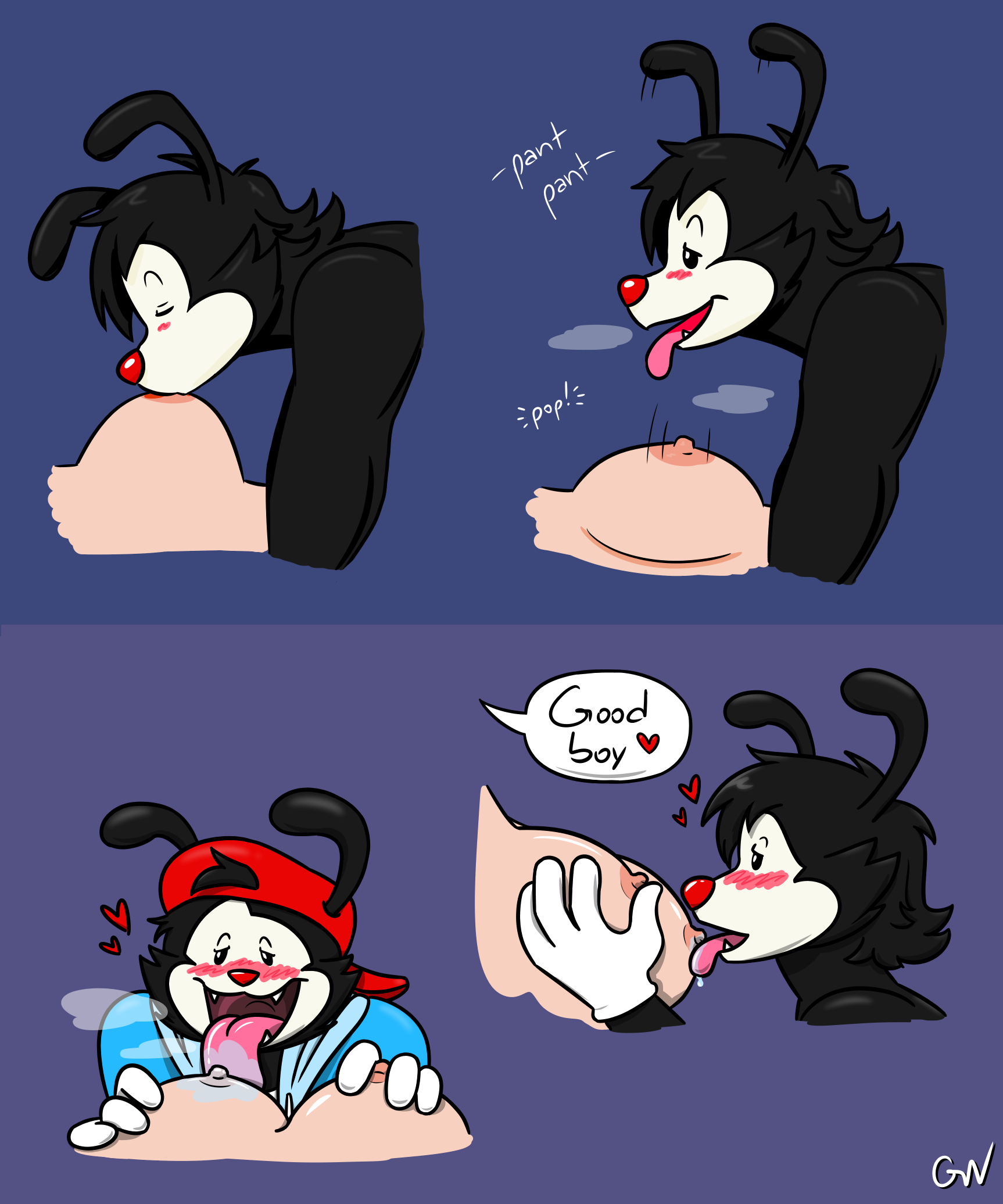 Fan Character (Animaniacs) Rule 34 Image