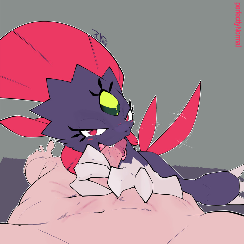 PokÉMon (Species) Rule 34 Image