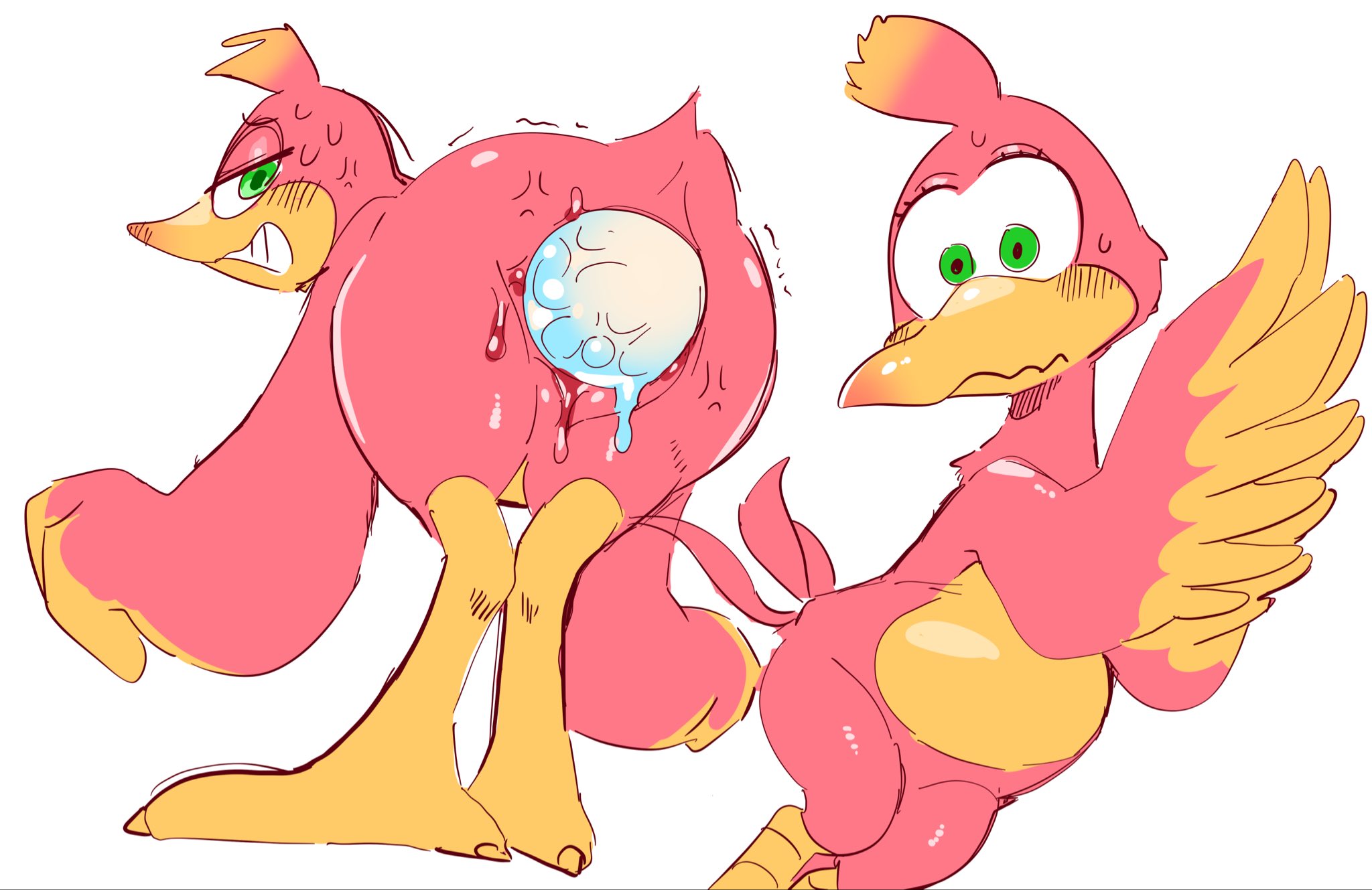 Kazooie (Banjo-Kazooie) Rule 34 Image