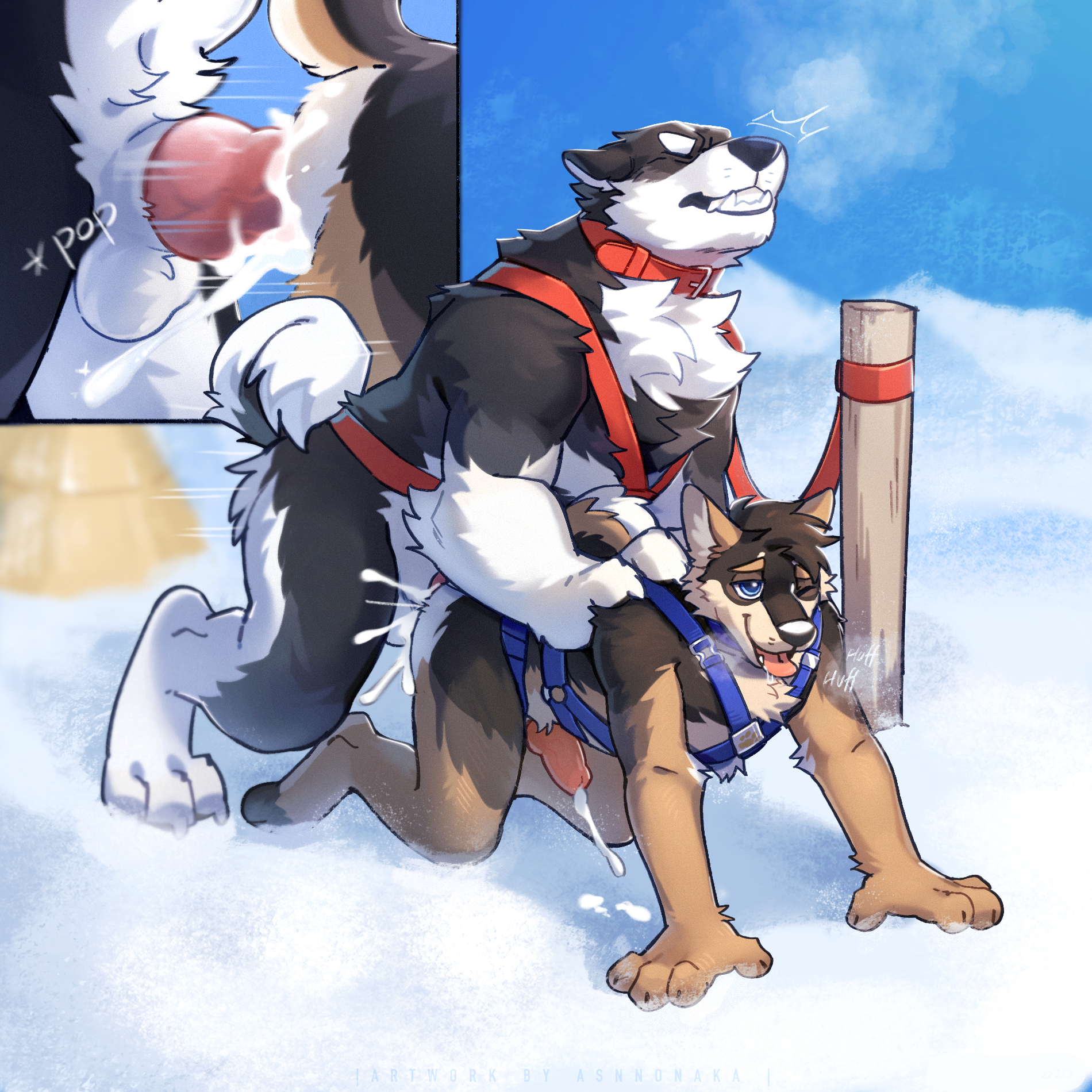 1:1 Rule 34 Image