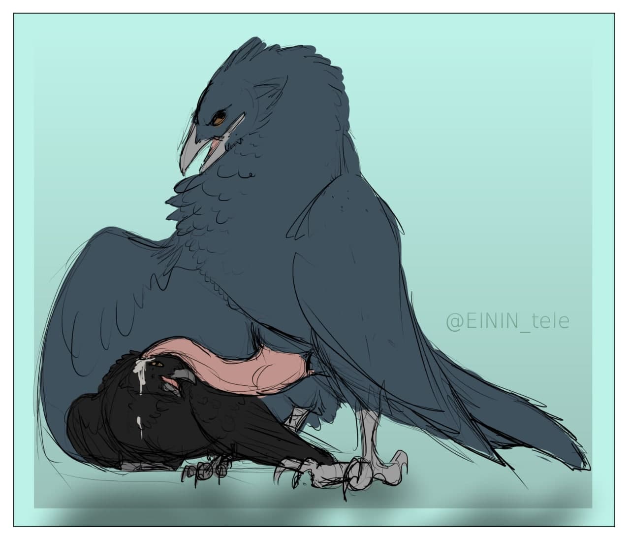 Corvus (Genus) Rule 34 Image