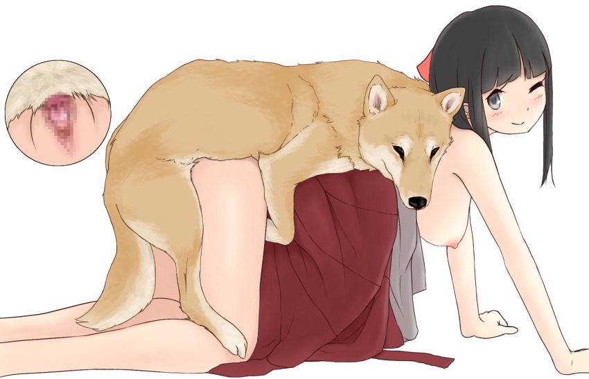 Chinese Zodiac Rule 34 Image